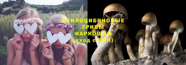 сатива Алексин