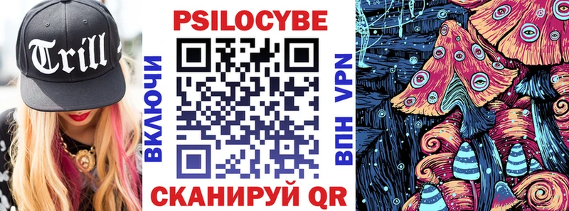 Псилоцибиновые грибы Psilocybe  Ленинск-Кузнецкий 