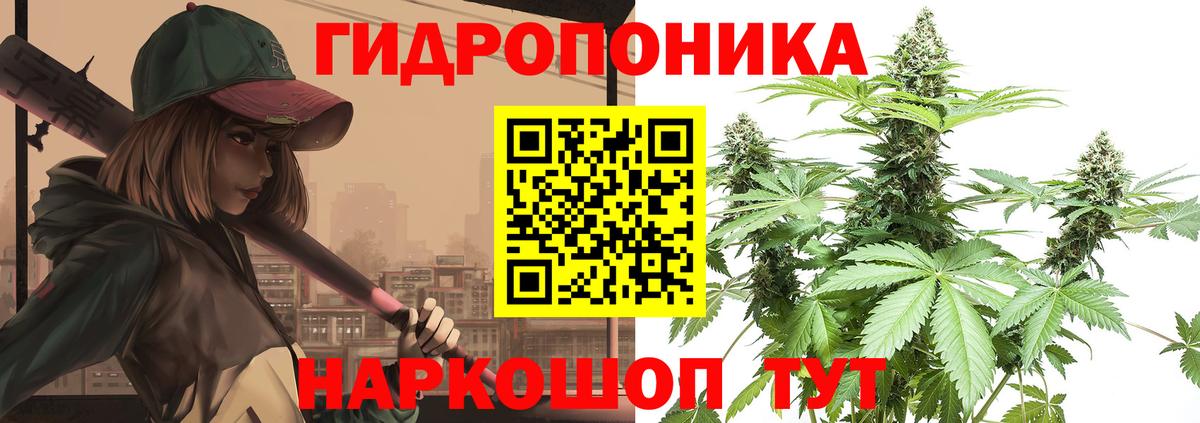 Бошки Шишки гибрид  Шишки марихуана ГИДРОПОН  Марихуана LSD WEED  Вход с VPN  Шишки марихуана план  Ленинск-Кузнецкий 